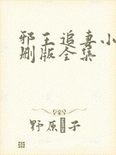 邪王追妻小说未删版全集