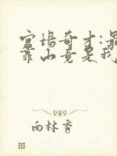 官场奇才:最强靠山竟是我自己李澜全文在