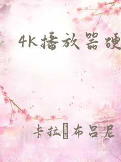 4k播放器硬盘