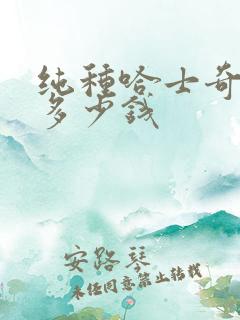 纯种哈士奇幼犬多少钱