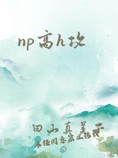 np高h攻 np高h攻