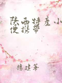 陕西特产小吃方便携带 陕西特产小吃方便携带