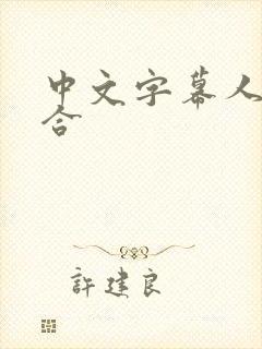 中文字幕人妻综合