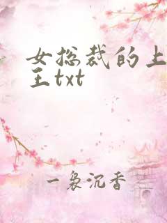 女总裁的上门兵王txt