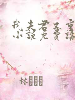 我夫君又重生了小说免费讲述