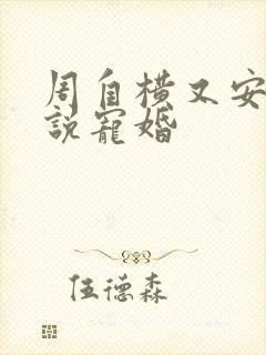 周自横又安的小说宠婚