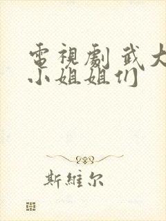 电视剧 武大的小姐姐们