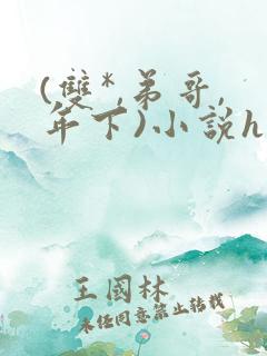 (双*,弟哥,年下)小说h