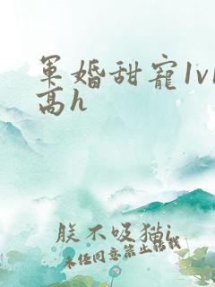 军婚甜宠1v1高h