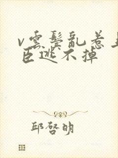 v云鬓乱惹上权臣逃不掉