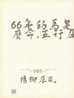 66年的马是什么命,五行属性