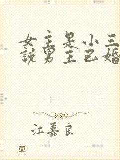 女主是小三的小说男主已婚现代文 女主是小三的小说男主已婚现代文