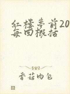 红楼梦前20回每回概括