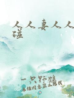 人人妻人人插超碰