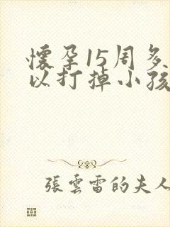 怀孕15周多可以打掉小孩吗