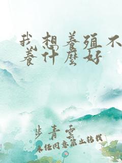我想养殖不知道养什么好 我想养殖不知道养什么好