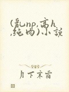 (乱np,高h,纯肉)小说 (乱np,高h,纯肉)小说