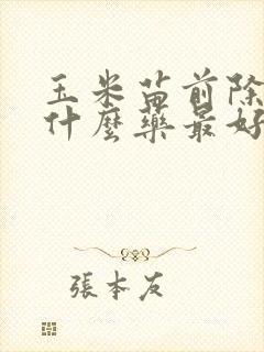 玉米苗前除草剂什么药最好用