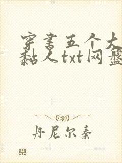 穿书五个大佬太黏人txt网盘