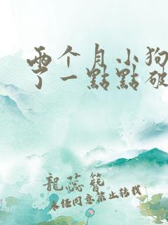 两个月小狗抓伤了一点点破皮要打狂犬疫苗吗