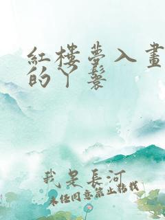 红楼梦入画是谁的丫鬟