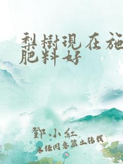 梨树现在施什么肥料好