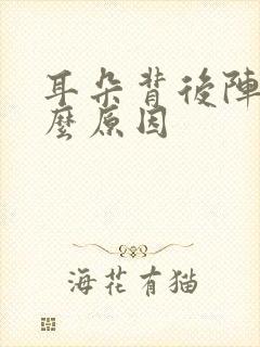 耳朵背后阵痛什么原因