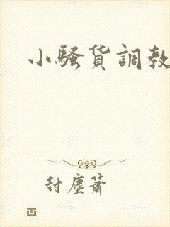 小骚货调教日记