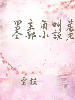 男主角叫叶晨的全部小说免费阅读
