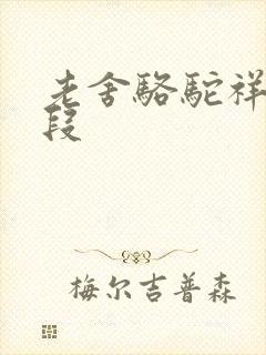 老舍骆驼祥子好段