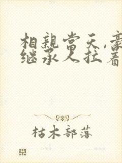 相亲当天,豪门继承人拉着我领证无弹窗