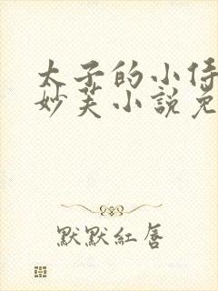 太子的小侍妾冯妙芙小说免费阅读