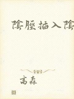 阴胫插入阴道