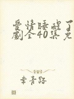 爱情睡醒了电视剧全40集免费观看