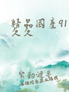 精品国产91久久久