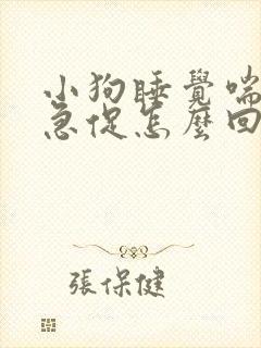 小狗睡觉喘气很急促怎么回事