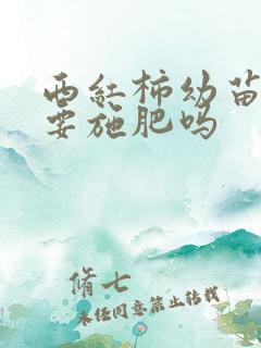 西红柿幼苗期需要施肥吗