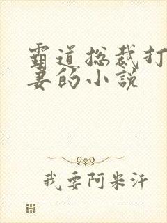 霸道总裁打小娇妻的小说