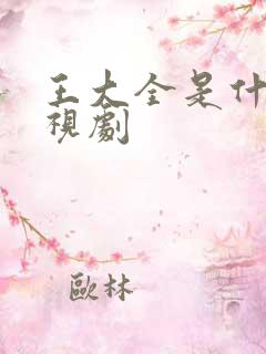 王大全是什么电视剧
