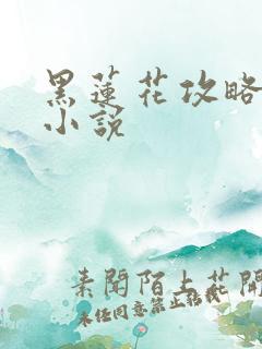 黑莲花攻略手册小说