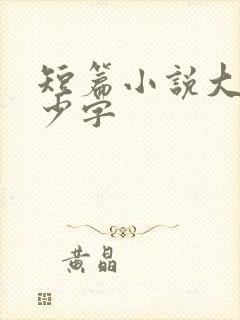 短篇小说大概多少字