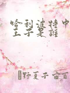 哈利波特中混血王子是谁