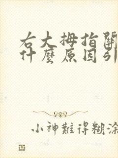 右大拇指关节痛什么原因引起的