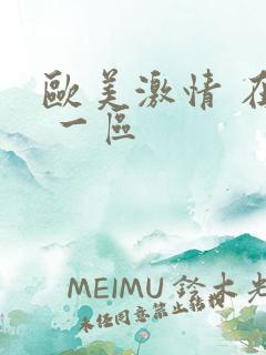 欧美激情 在线 一区