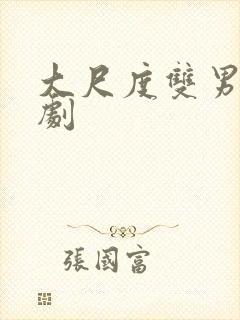 大尺度双男主台剧