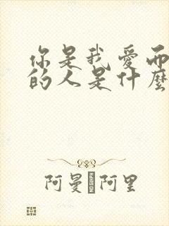 你是我爱而不得的人是什么意思