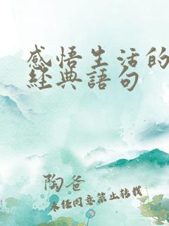 感悟生活的句子经典语句
