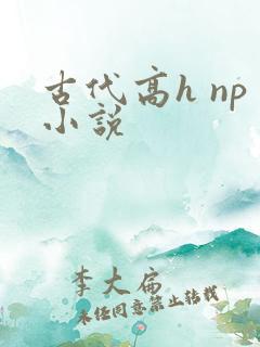 古代高h np小说