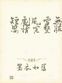 短剧风雪无尽相思情完整版免费观看