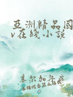 亚洲精品国产av在线小说